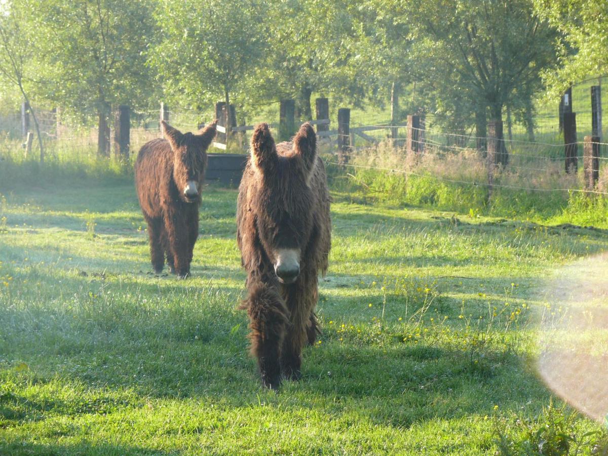 La Ligule Villa Mignault ภายนอก รูปภาพ